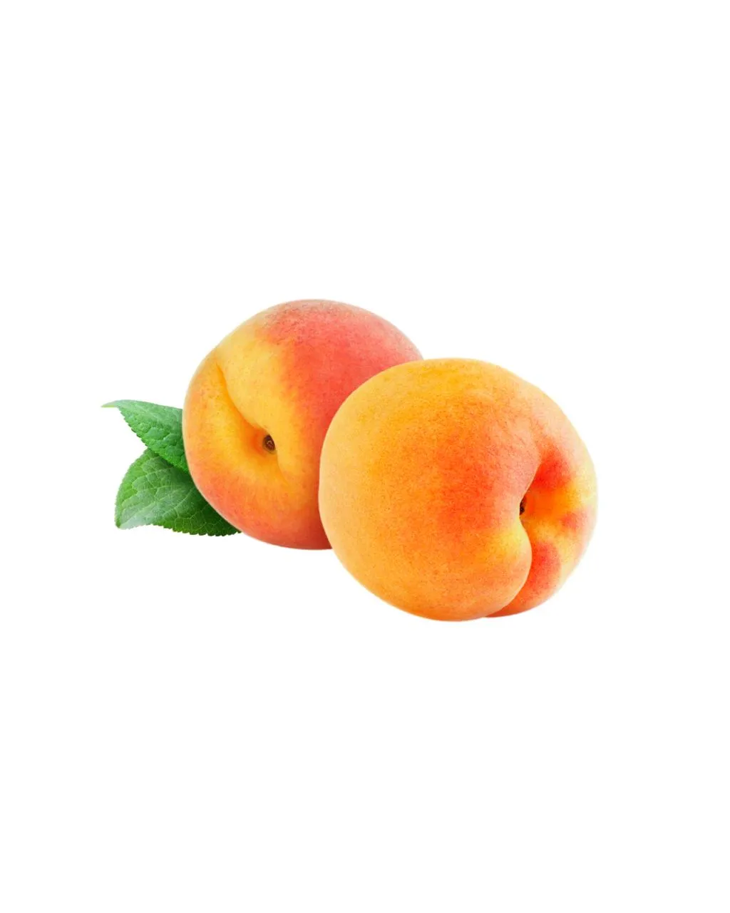 Abricot
