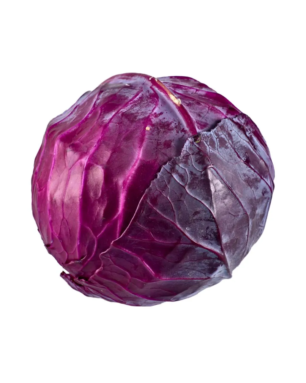 Chou rouge