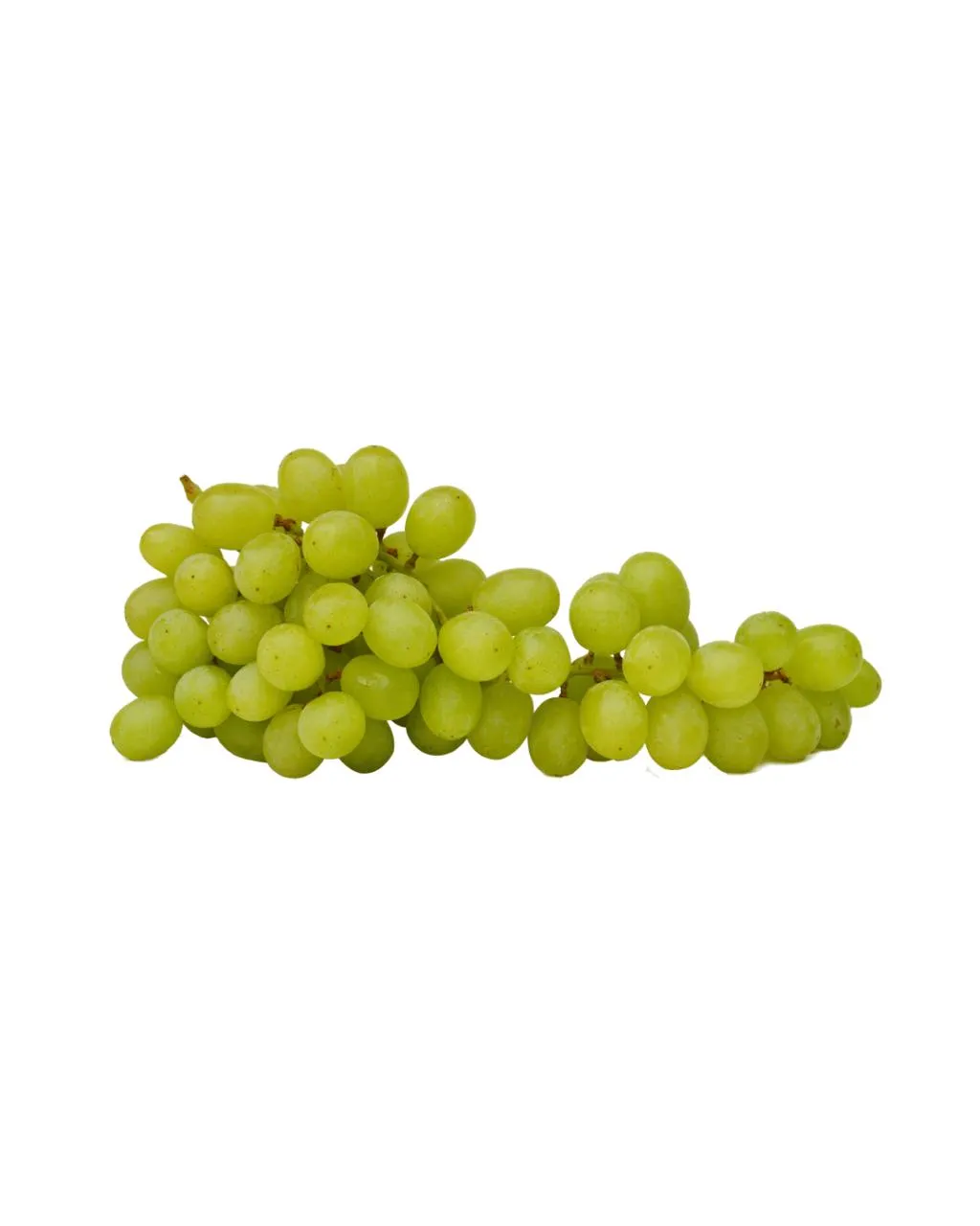 Raisin vert