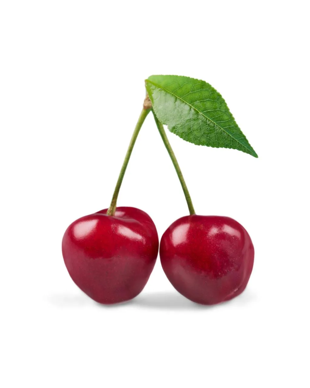 Cerise