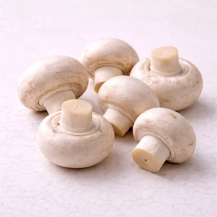 Champignon