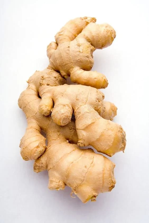 Gingembre
