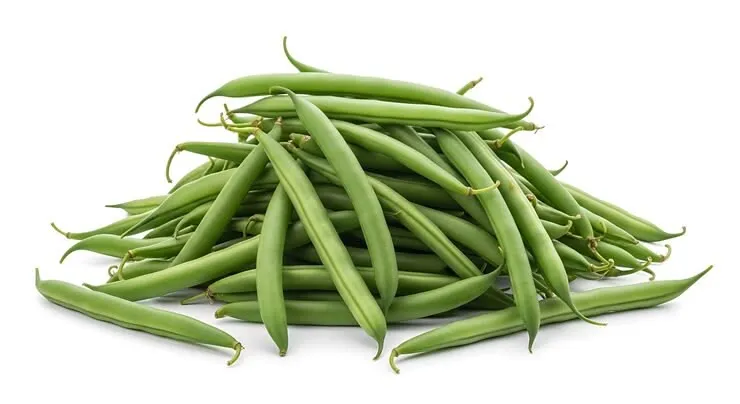 Haricots verts