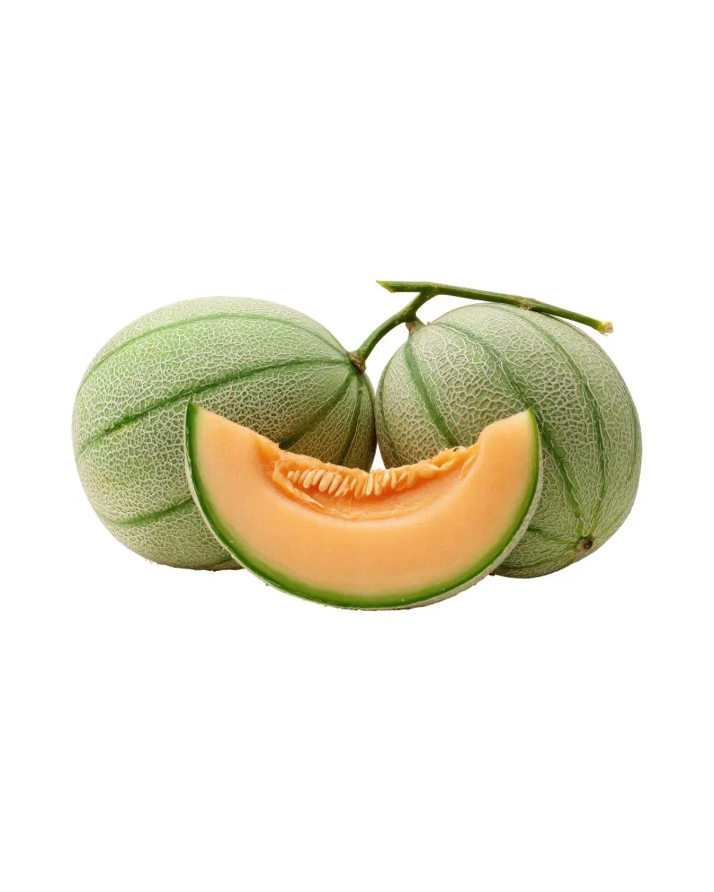 Melon