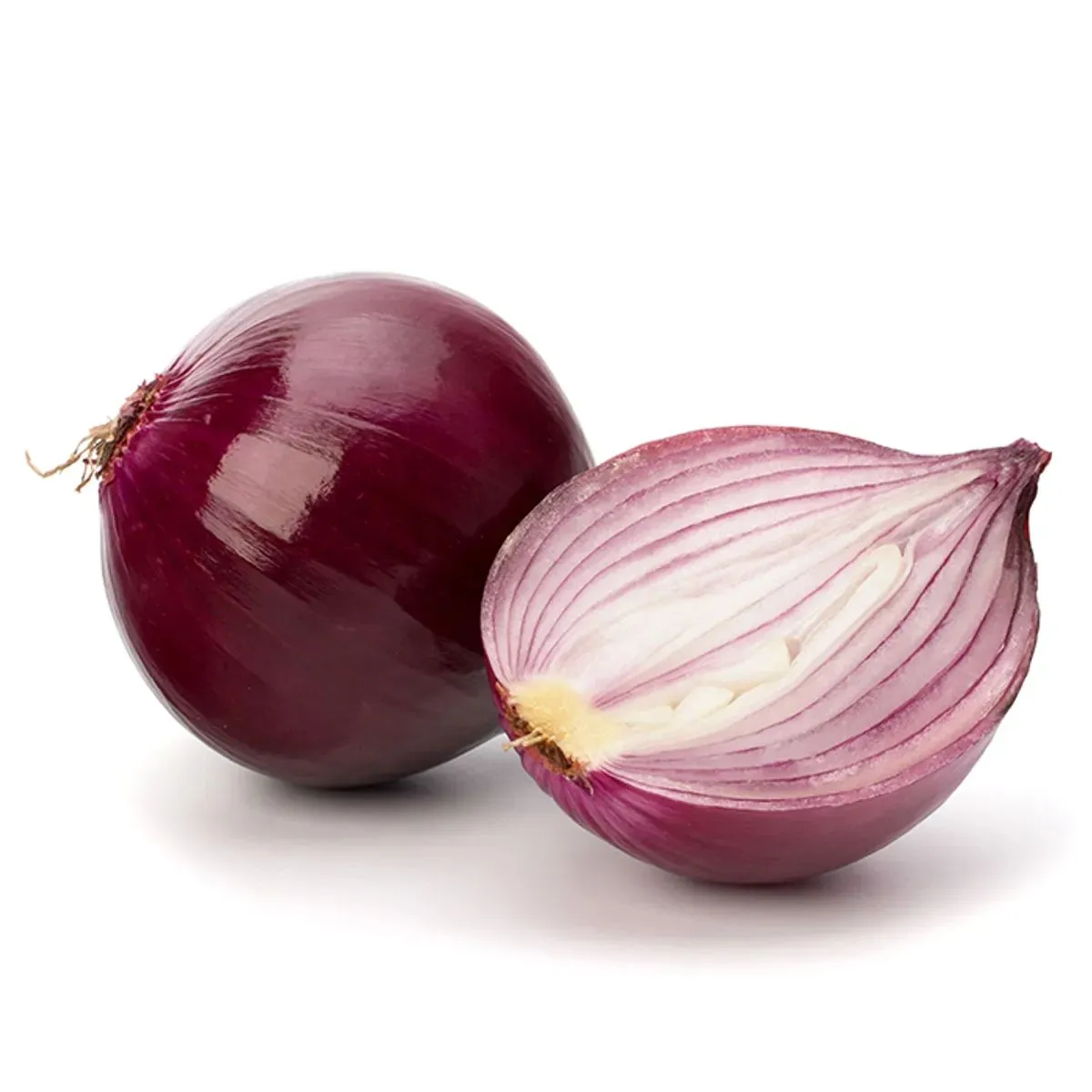 Oignon