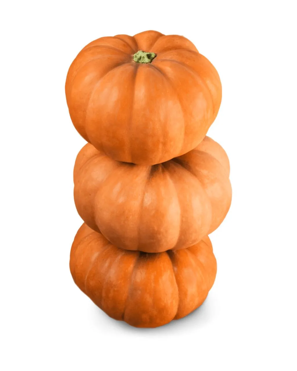 Potimarron
