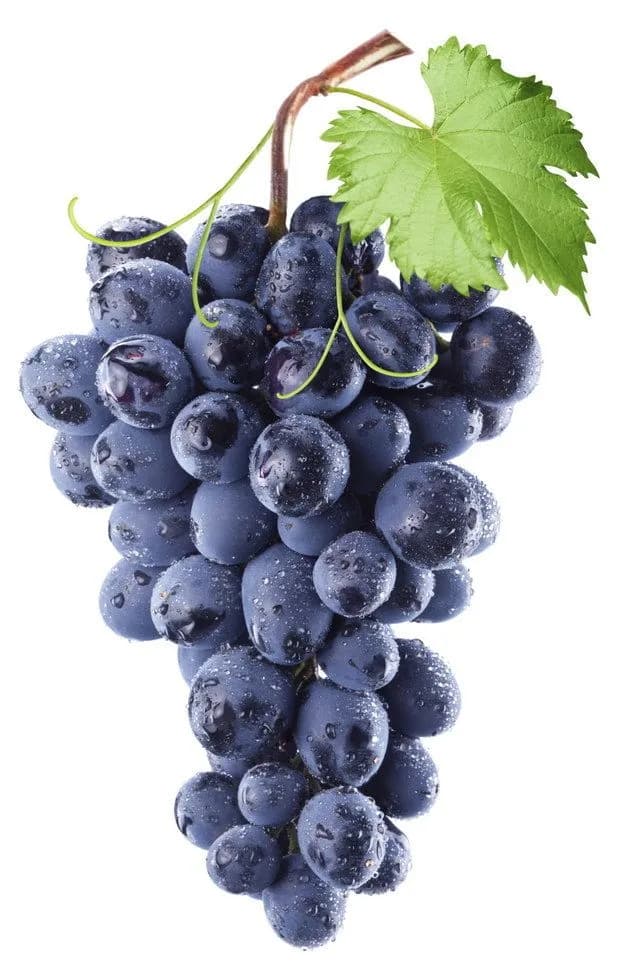 Raisin noir